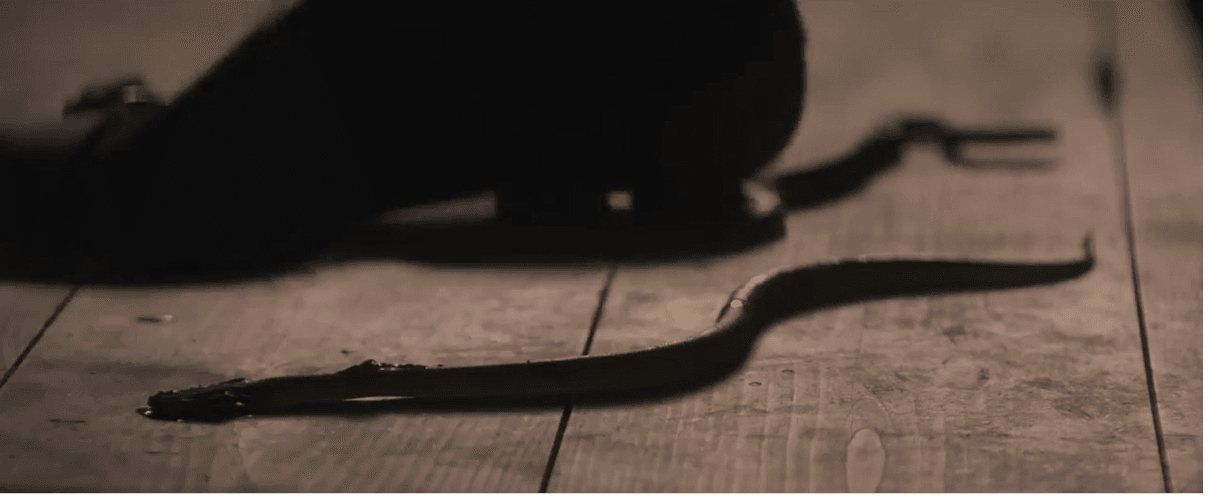 Gifts to Christ being rejected