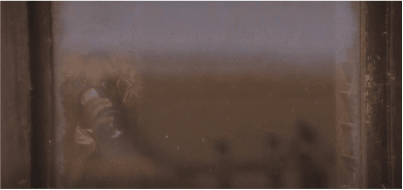 Close up of New Boy drinking wine